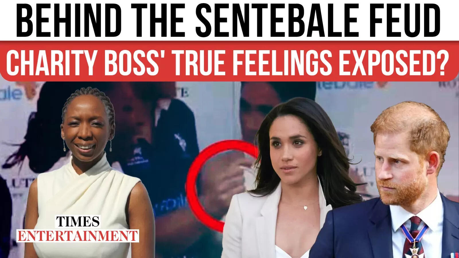 Prince Harry’s Pal EXPOSES Charity Boss’ TRUE Emotions In the direction of Meghan & What Induced Sentebale Drama