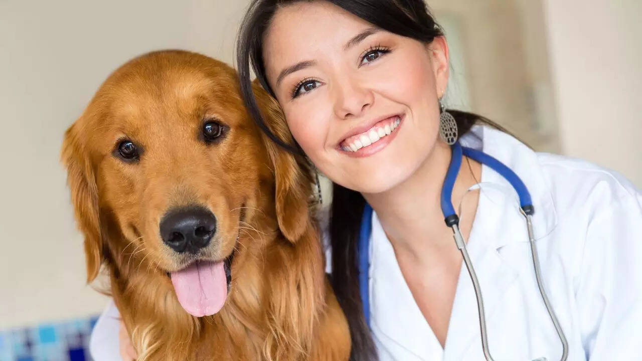 5 सामान्य स्वास्थ्य समस्याएं और लोकप्रिय कुत्ते की नस्लों में बीमारियां, जो हर घर के माता -पिता को पता होना चाहिए
