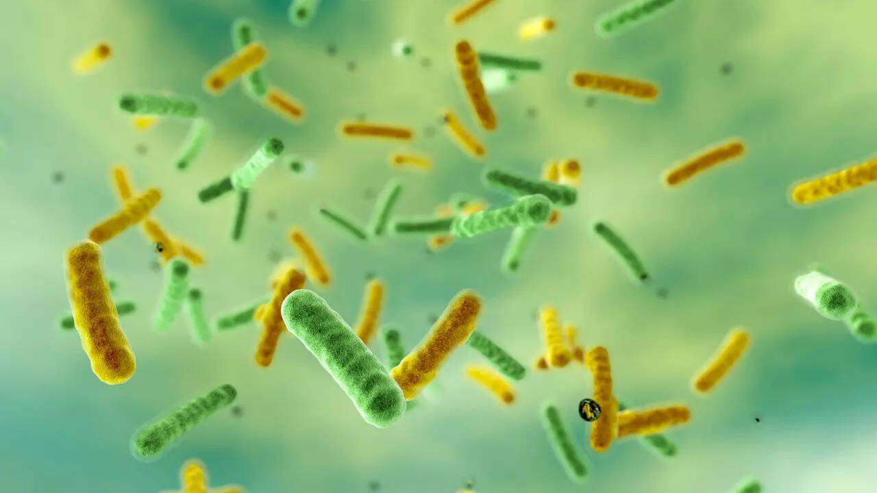 NASA's cleanrooms reveal 26 new bacteria that could change space science