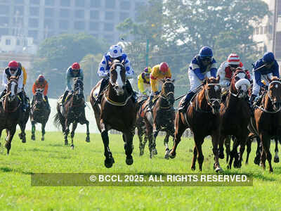 Oasis Star Sprinter's Cup