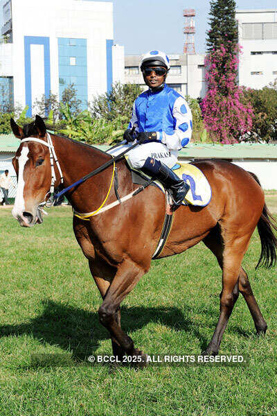 Oasis Star Sprinter's Cup