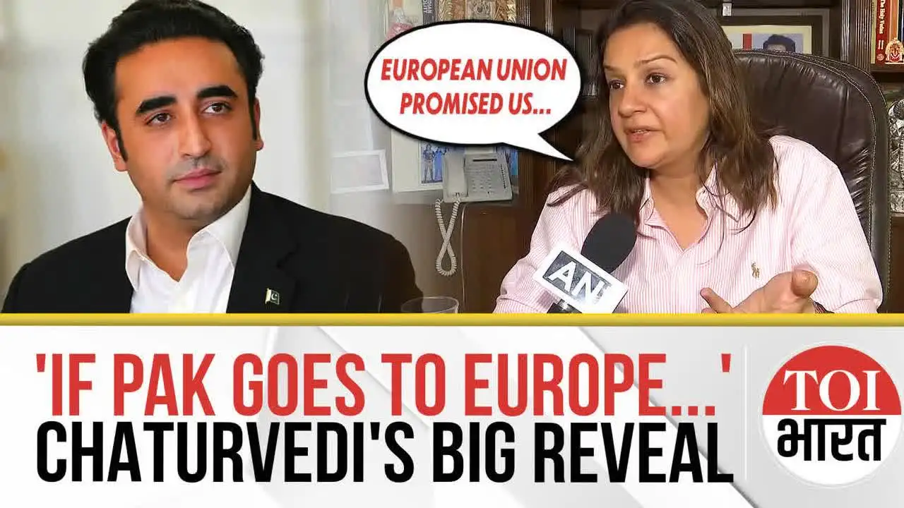 'When Pak Delegation Comes...': Priyanka Chaturvedi Reveals What EU Promised In Closed-Door Meeting