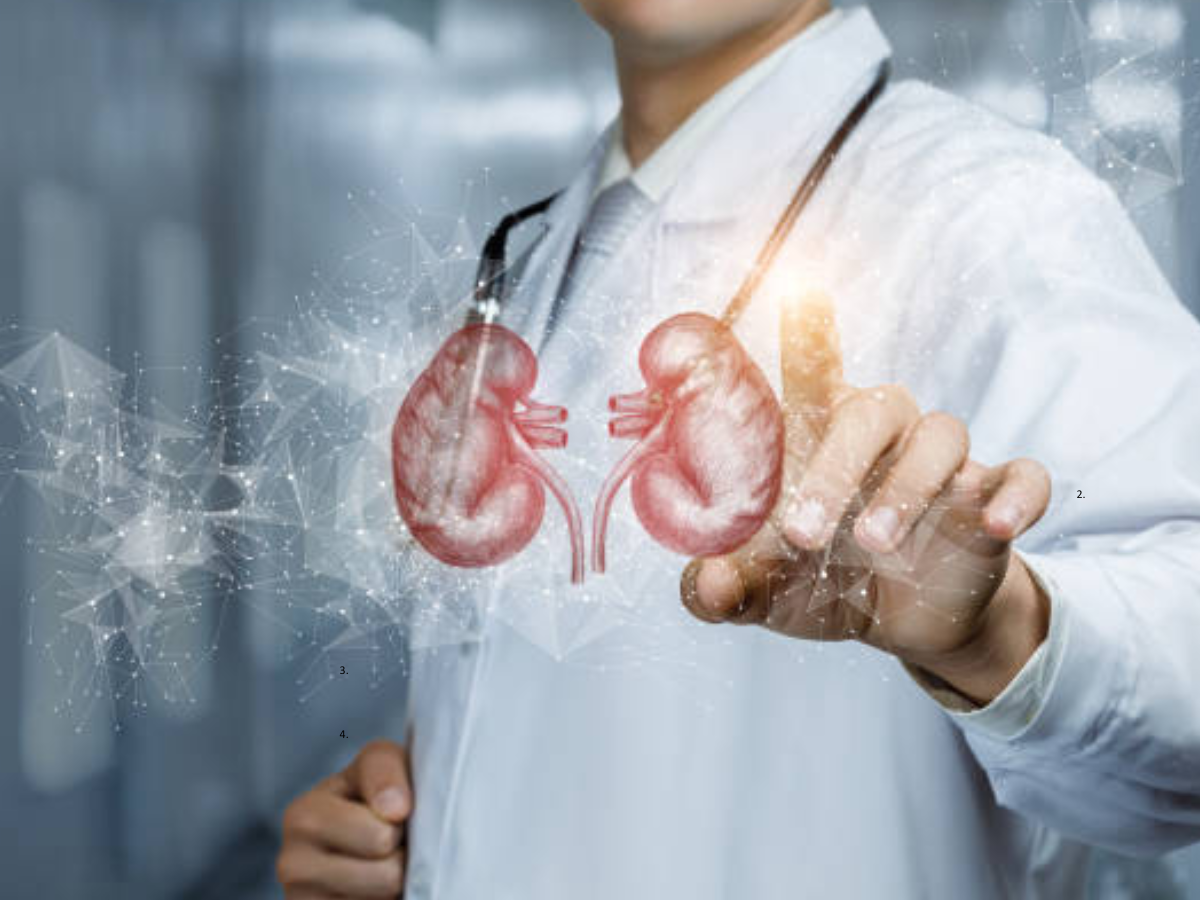 Boost Your Kidney Health: 6 Foods to Include in Your Diet
