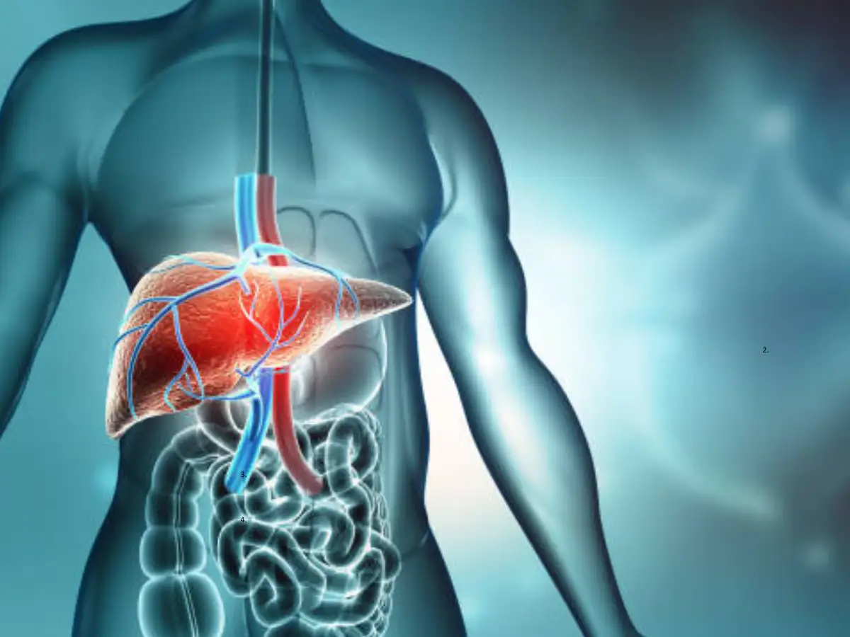 ​5 foods that can help fight fatty liver disease​ - Times of India