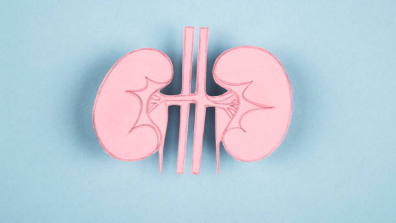 Kidney health: How high blood pressure and diabetes do the most damage