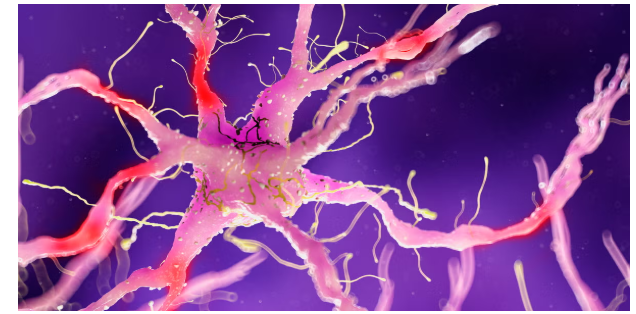 Nerve Damage Symptoms: 5 warning signs of Nerve Damage in the body