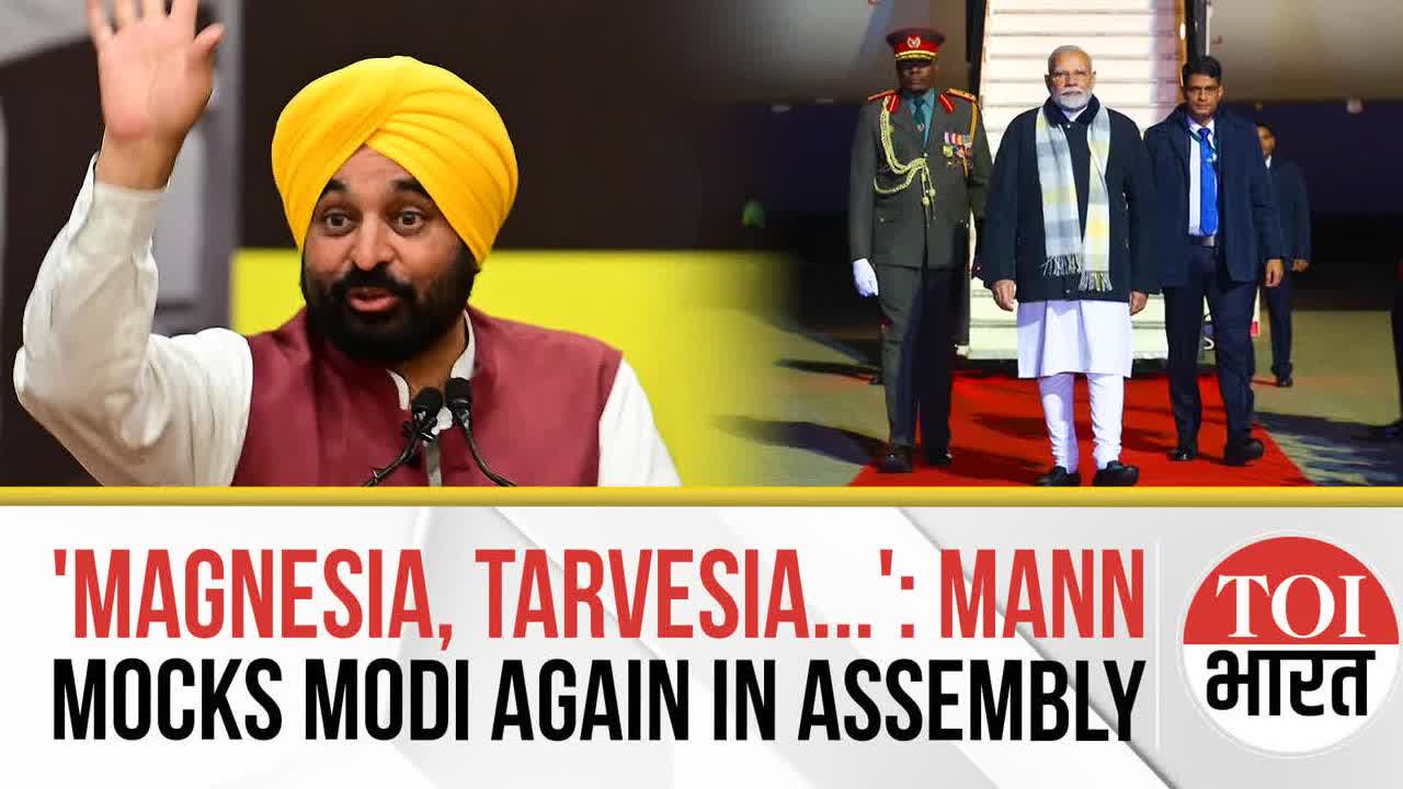 'Magnesia' to 'Biryani Diplomacy' in Pakistan: Bhagwant Mann Trolls PM Modi Again in Assembly