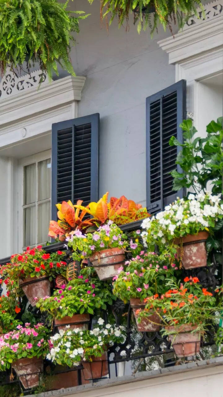 Small Balcony Plant Arrangement Tips: Transform Your Space Beautifully