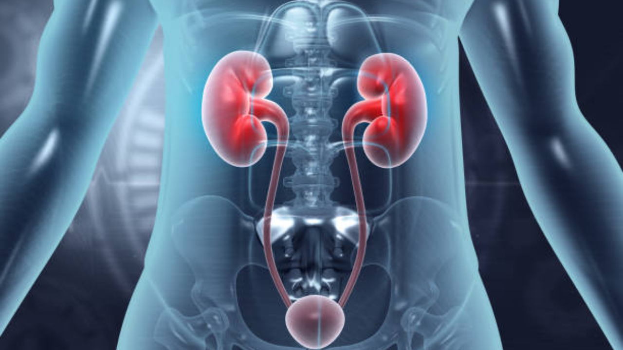 Overactive bladder symptoms? 5 lifestyle changes doctors recommend