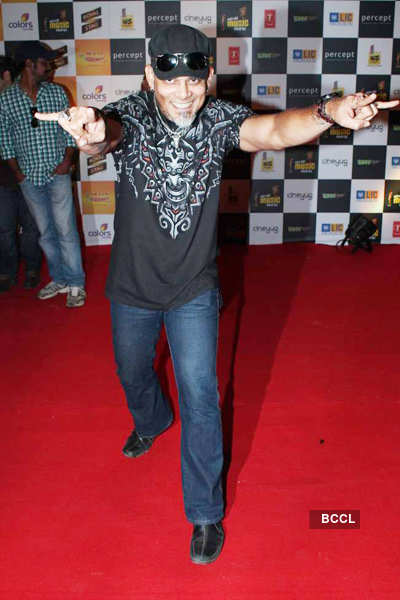 Mirchi Awards' 12 - Red Carpet