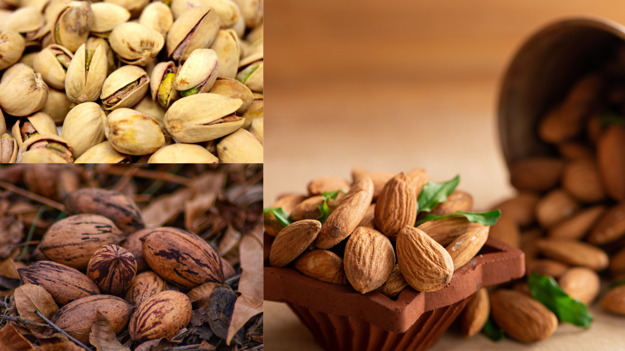 From walnuts to almonds: The best time to eat nuts according to a Harvard-trained gastroenterologist