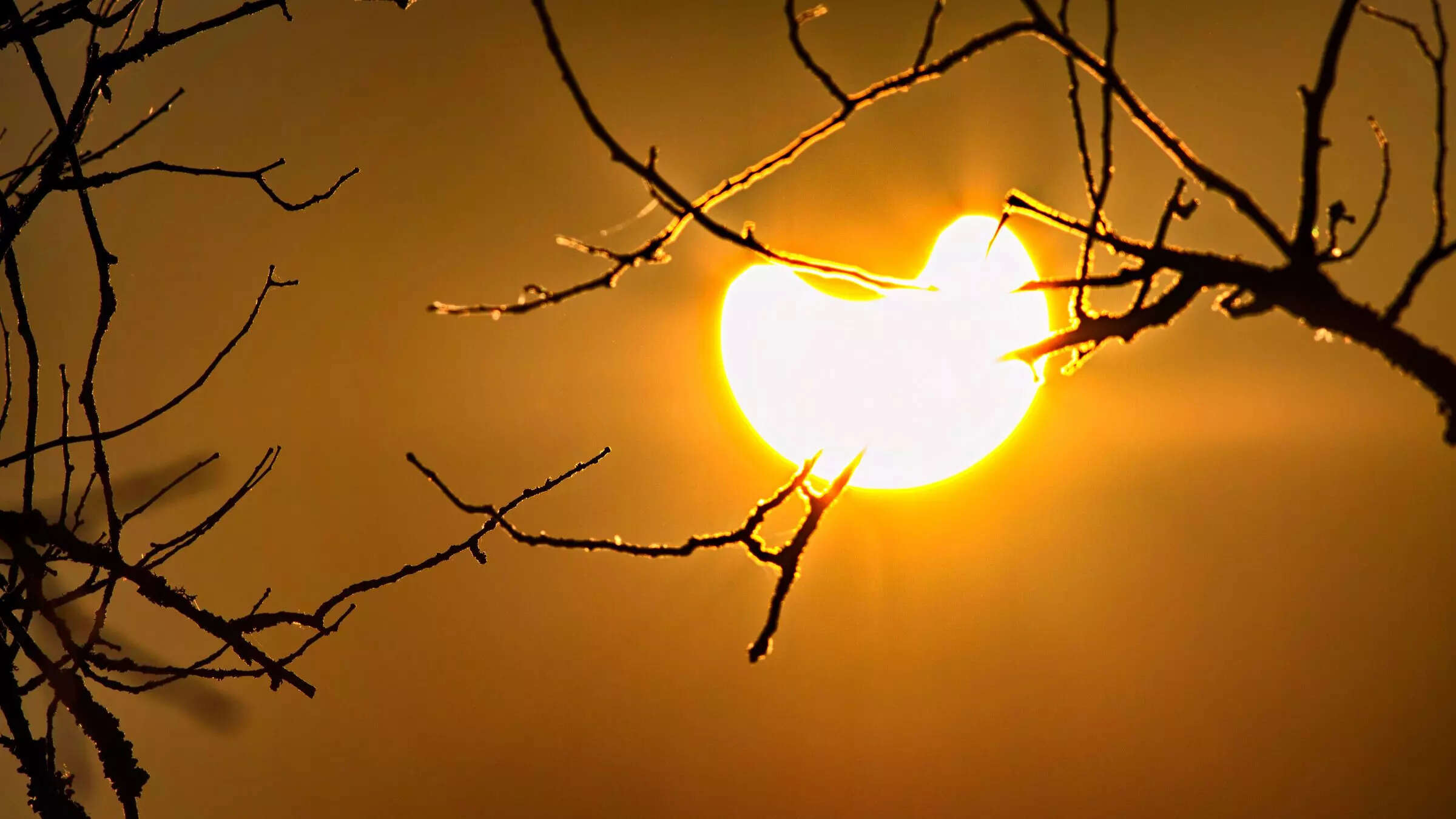 ​​Celestial delight: Watch moon 'biting' the sun in these stunning photos of the last Solar Eclipse of the year​