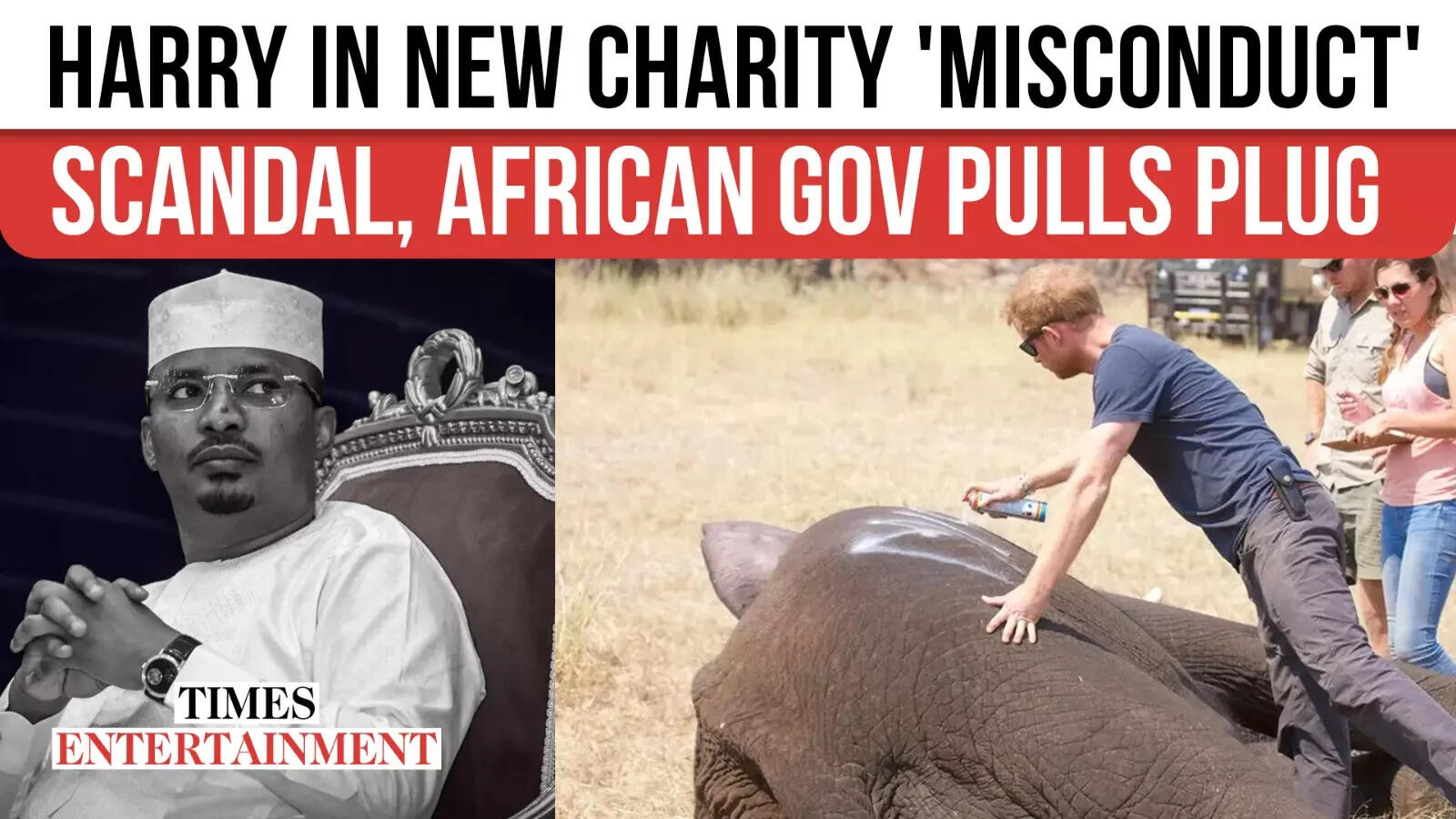 Prince Harry Hit With One other Charity Scandal, Chad Cuts Ties With ‘Disrespectful’ African Parks