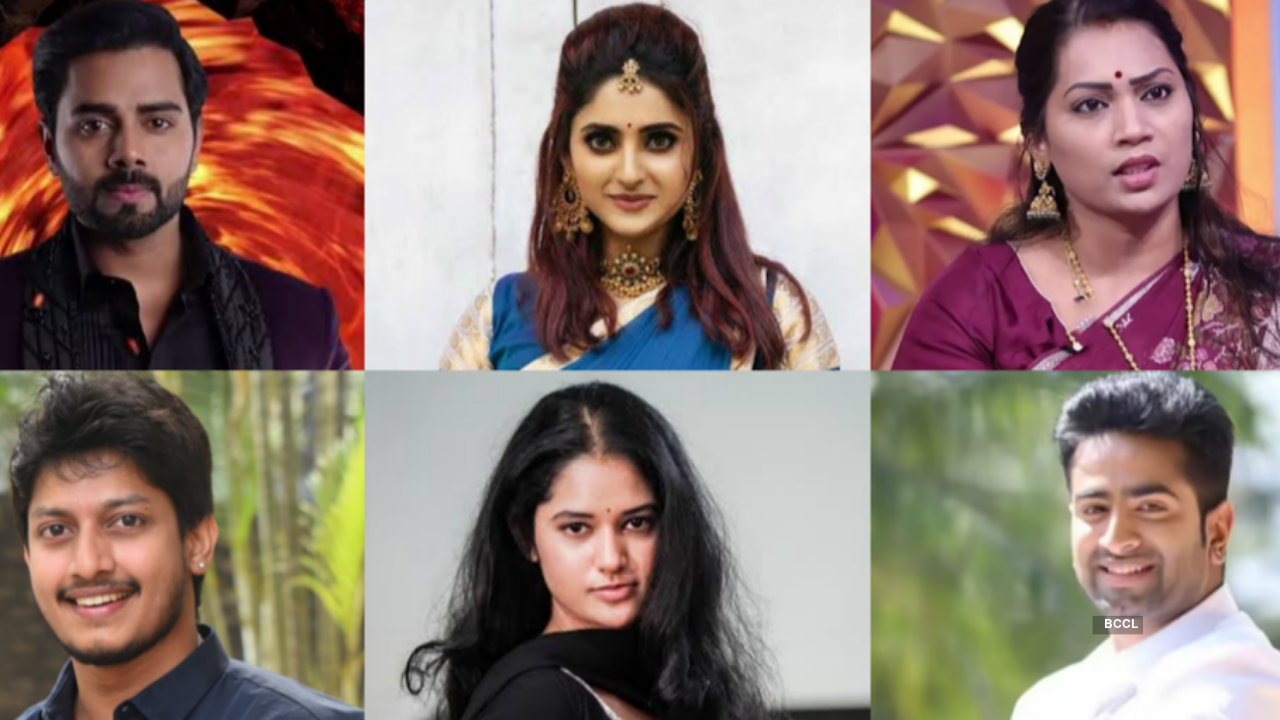 Bigg Boss Telugu 9 Firestorm: Here’s everything we know about the wildcard contestants