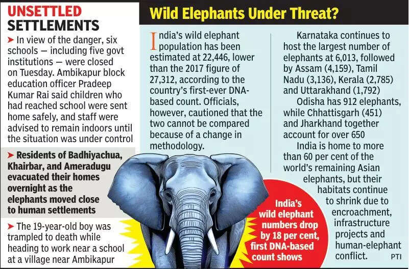 Man-wild conflict continues to haunt CG: 19-yr-old dies in elephant attack