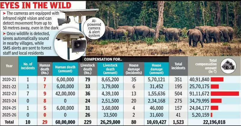 AI cameras aim to track elephants, reduce man&ndash;animal conflict in CG