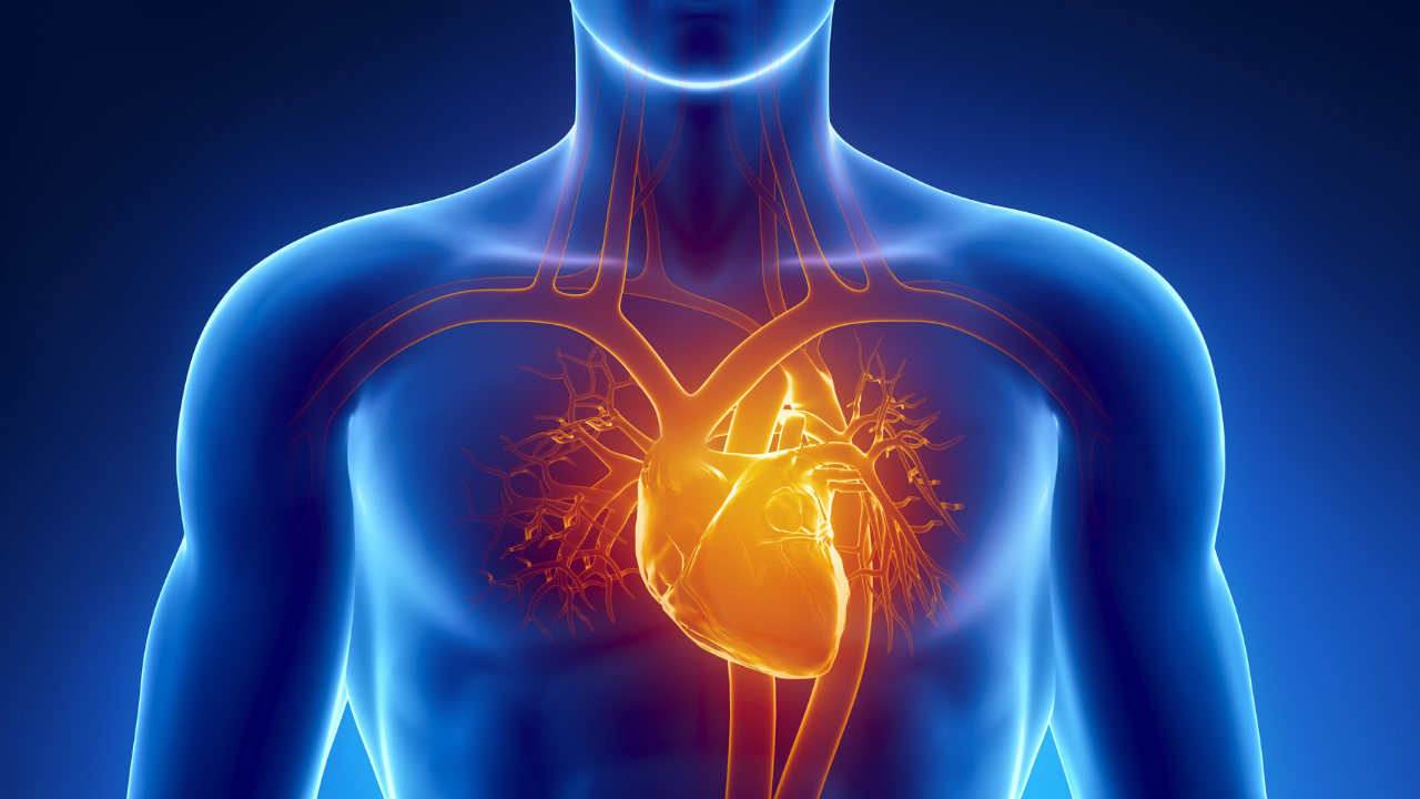 भारत के प्रमुख हृदय रोग विशेषज्ञ के अनुसार दिल के दौरे के दौरान सरल 3-चरणीय जीवन रक्षक कार्य योजना