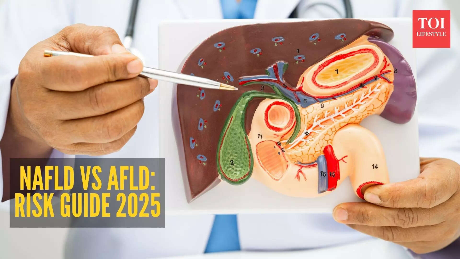 Non alcoholic fatty liver vs alcoholic fatty liver: Which is more dangerous?