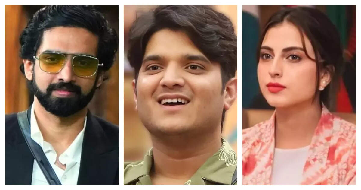 Exclusive – Bigg Boss 19: Mridul Tiwari reacts to his eviction, calls Farrhana Bhatt ‘toxic’ and ‘evil’, and comments on Amaal Mallik’s image being ‘white-washed’