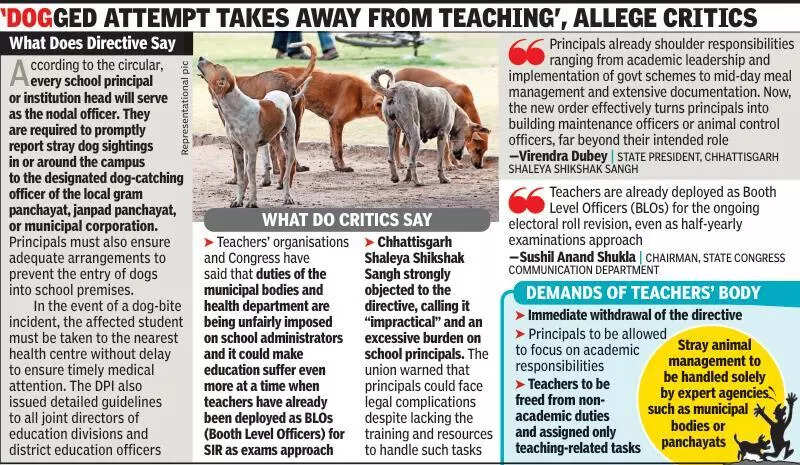 Principals now on &lsquo;dog duty&rsquo;; Stray issue, SIR at expense of edu: Oppn