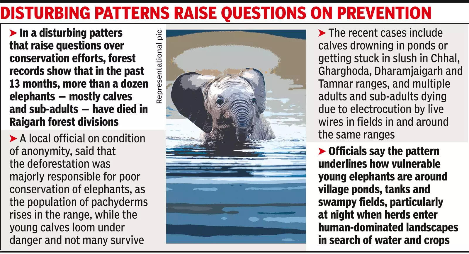 Elephant calf's drowning triggers worry over deaths & deforestation in Chhattisgarh's Raigarh