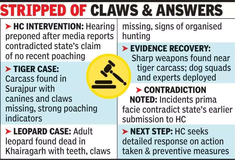 Tiger and leopard deaths contradict govt&rsquo;s no-poaching claim, says HC
