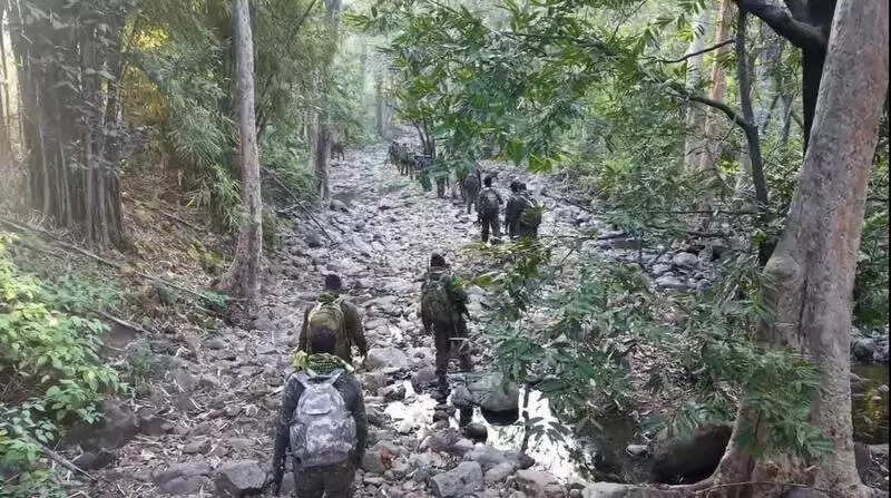 On menu for Bijapur ops forces: Maoists, tigers, and sloth bear