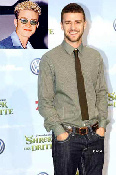 The Ugly Duckling Diaries 