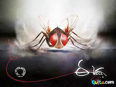 'Eega'