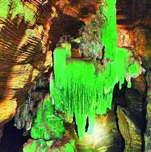 Chhattisgarh: Bastar's Green cave photos spark concerns of eco damage