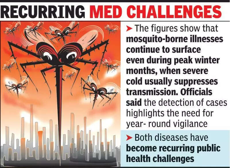 Even cold fails to curb dengue, C&rsquo;gunya: 15 cases in 2 months