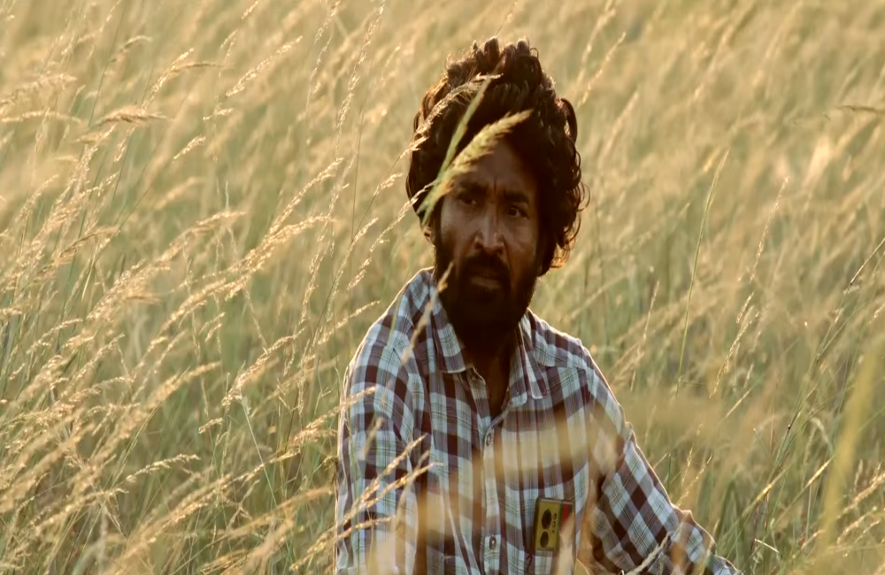yaara 1