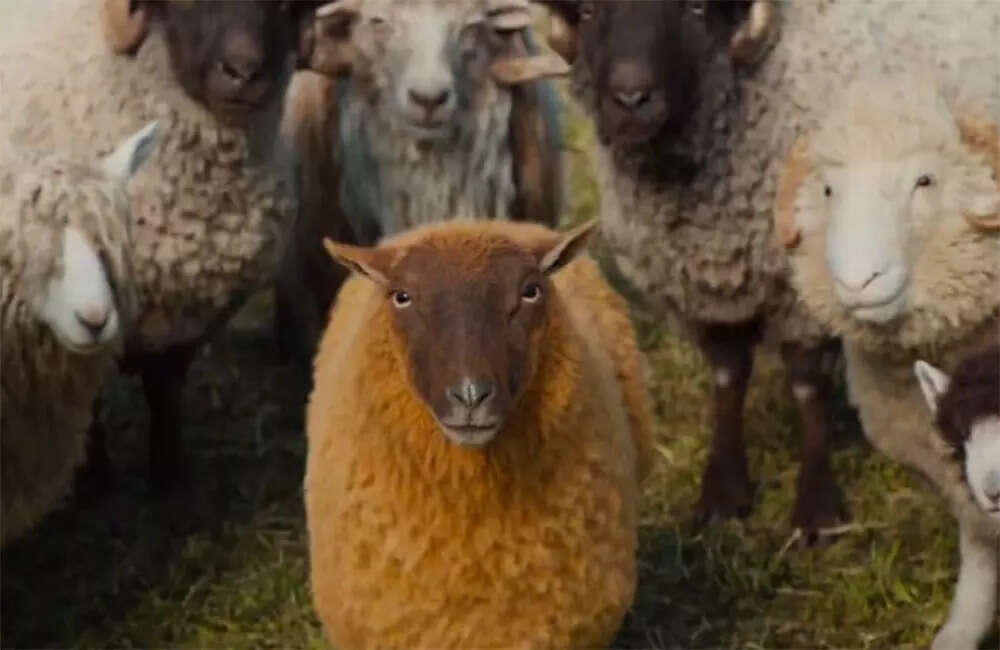 The-Sheep-Detectives4