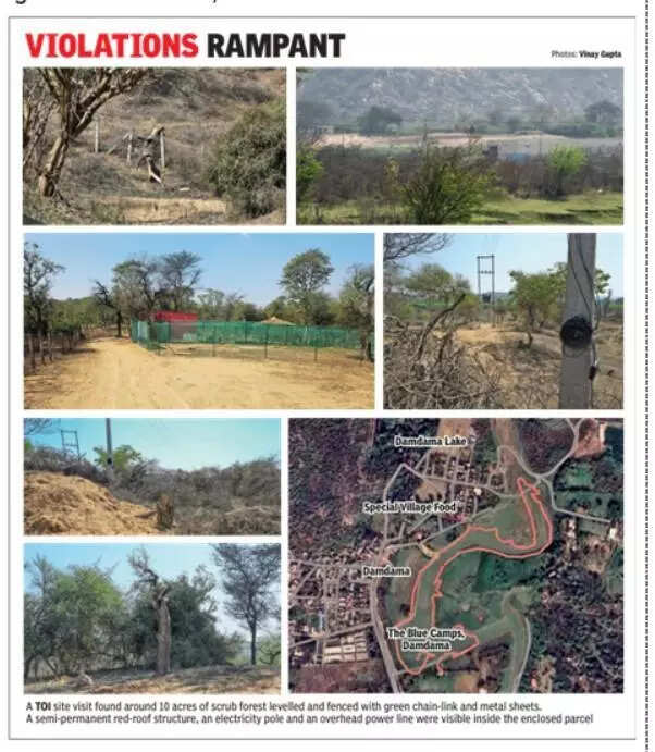 Land levelled, trees felled, road to new buildings laid at Damdama basin in Aravalis