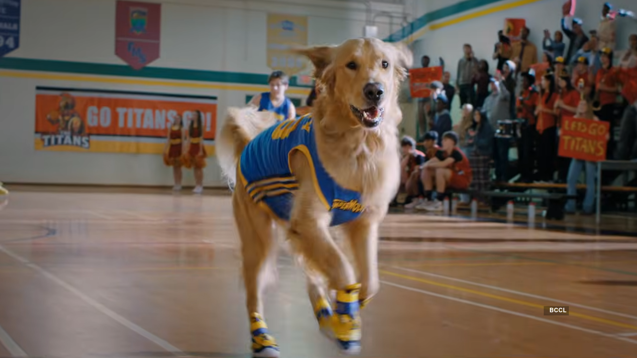 air bud b