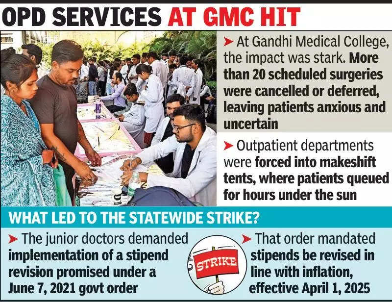 Docs strike on pay delays: Surgeries cancelled, patients in queue for hrs