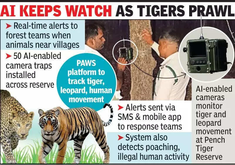 Pench staff roll out AI tool to monitor wildlife, prevent man-animal conflict