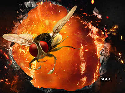 'Eega'