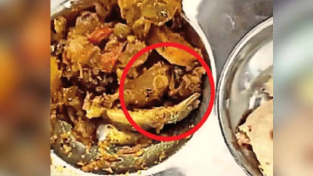 What a mess! 'Lizard' found in meal at Bhopal&rsquo;s RGPV, staff terms it capsicum & eats it