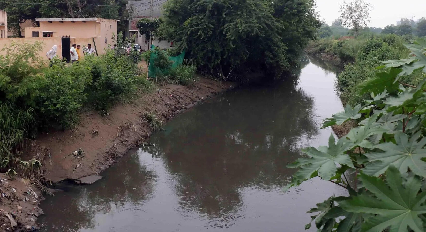 15-day deadline for STP sampling, 3-month mapping target under Yamuna action plan in Haryana