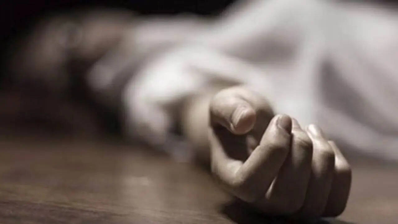 Woman dies by suicide after fight with hubby over power dues in Madhya Pradesh