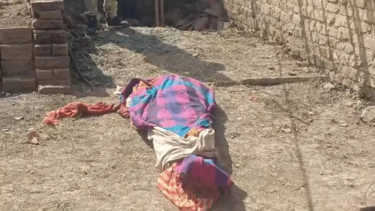 Elderly woman found beheaded in MP home, head dumped in wheat field