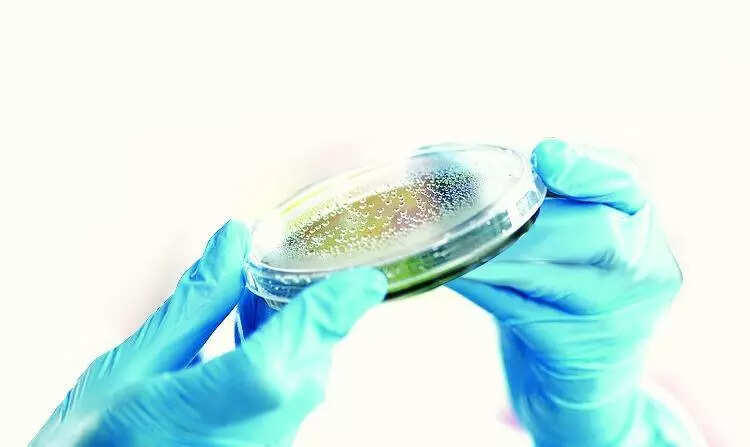Bokaro admin steps up efforts to curb TB