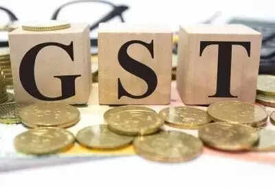 GST collections in Goa shrink 2.1% as state&rsquo;s share remains flat