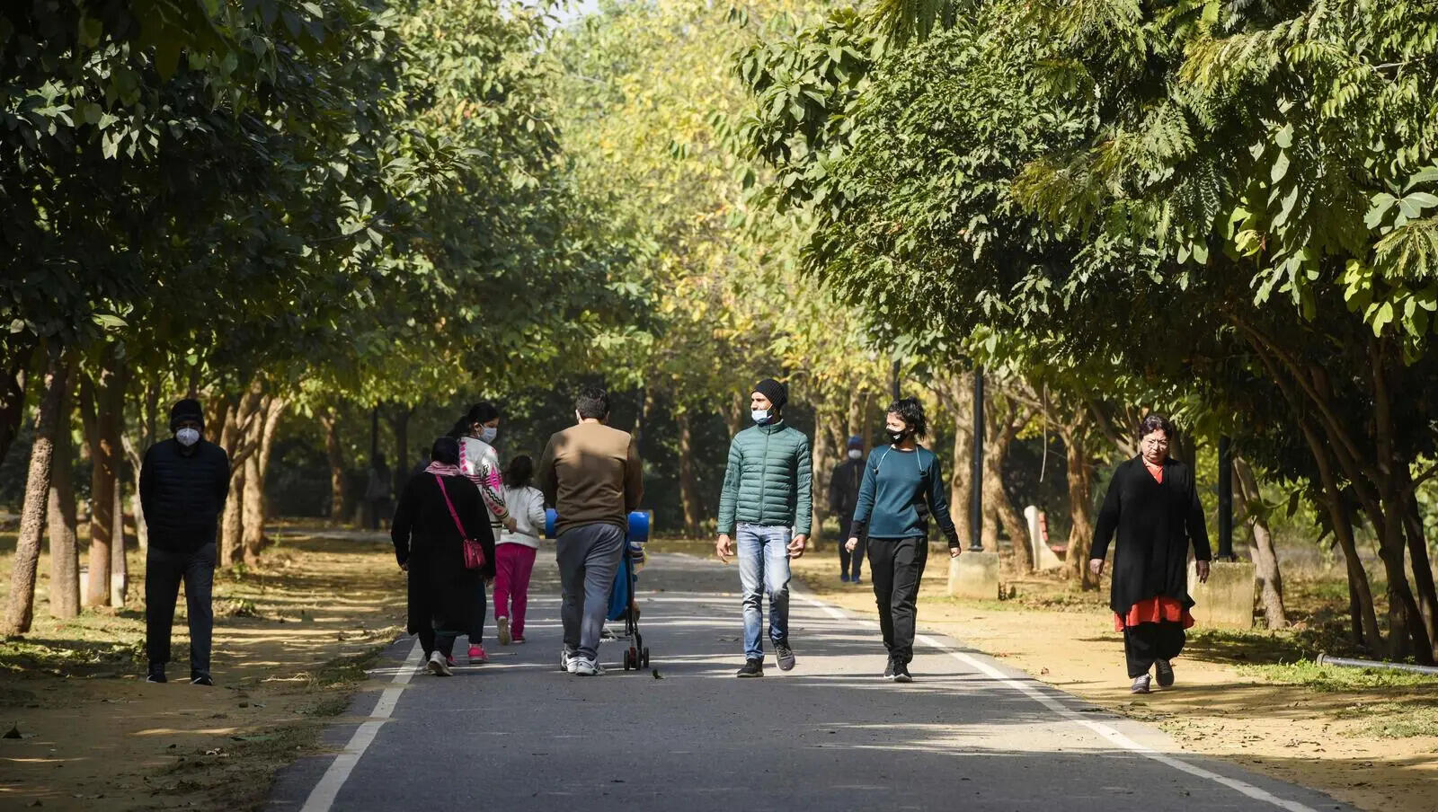 After 2-year delay, Gurgaon&rsquo;s biodiversity park set for upgrade with library-cum-amphitheatre