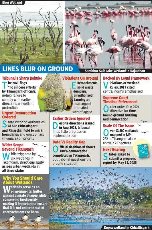NGT raps 3 states over wetland neglect, orders demarcation