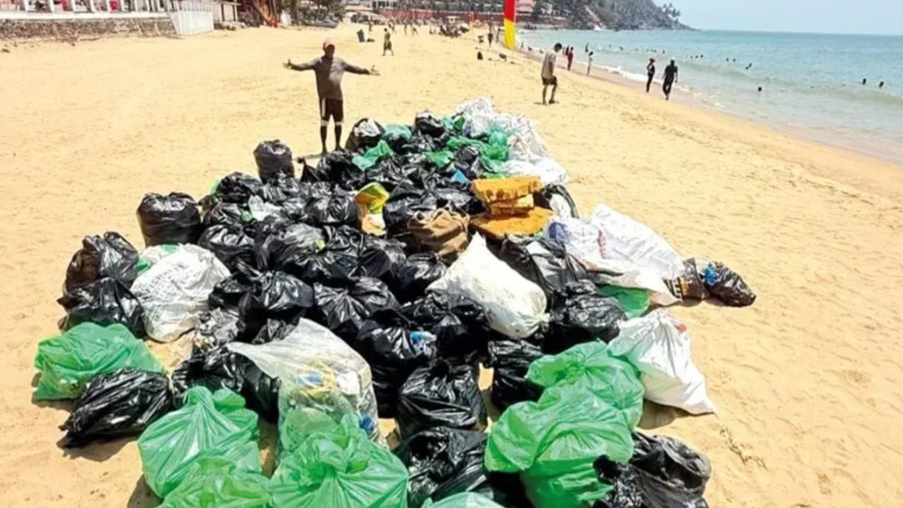Beer bottles outnumber tourists on Goa's Grande Island, clean-up exposes scale of neglect