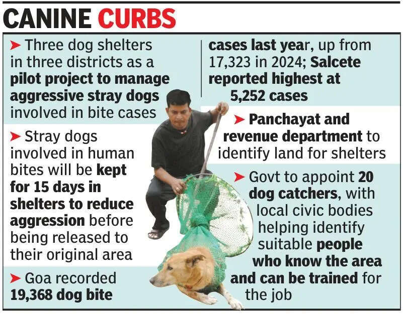 Goa to set up dog shelter in each district, appoint 20 dog catchers