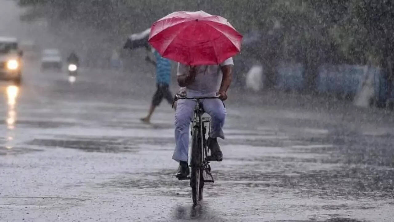 IMD&rsquo;s rain forecast brings cheer to NE farmers