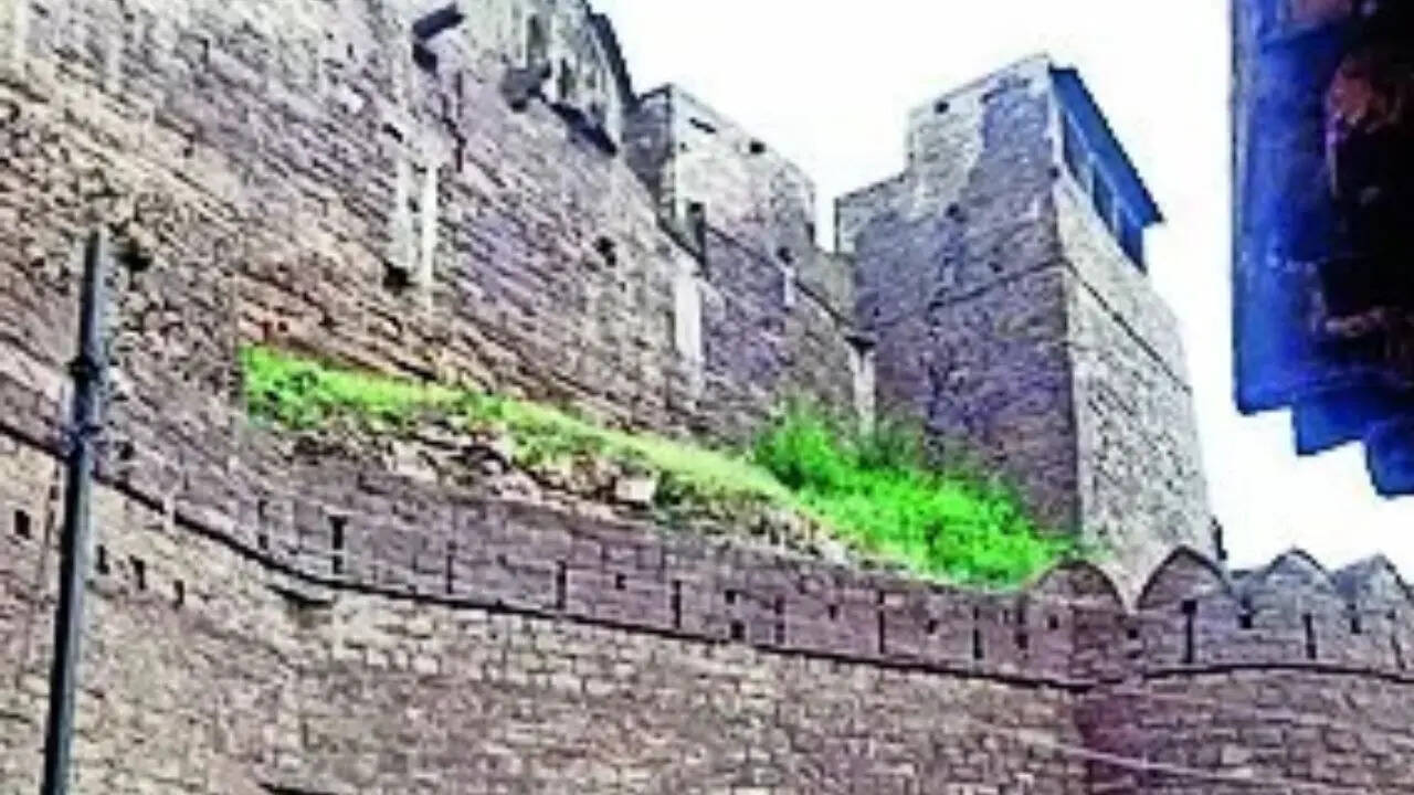 'Treasure hunters' dig a 20-ft deep tunnel inside ASI-protected site in MP